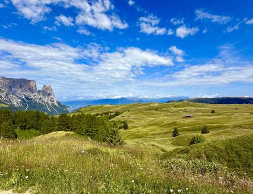 Genusswanderung auf der Seiser Alm